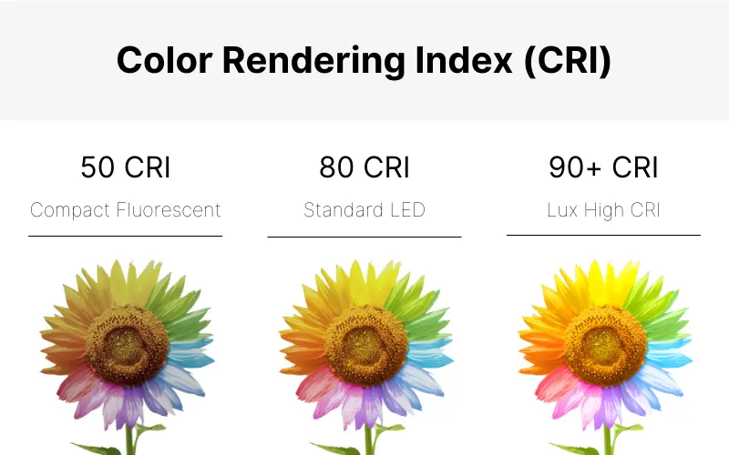 CRI chart displaying how accurately a light source renders colors compared to natural light - What is CRI? The Ultimate Guide to the Color Rendering Index - Vorlane - Vorlane